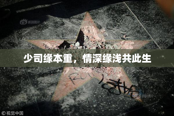 少司缘本重，情深缘浅共此生