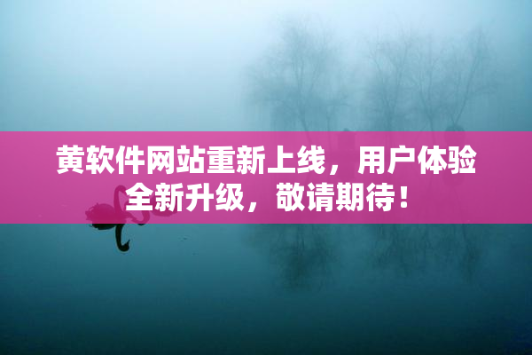 黄软件网站重新上线，用户体验全新升级，敬请期待！