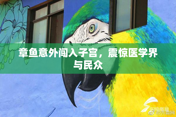 章鱼意外闯入子宫，震惊医学界与民众