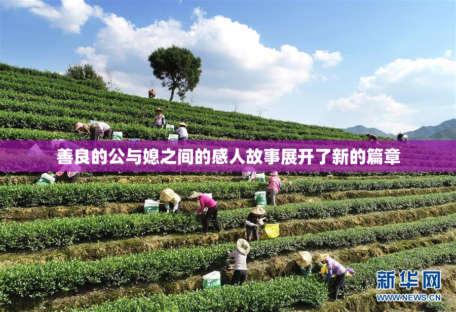 善良的公与媳之间的感人故事展开了新的篇章