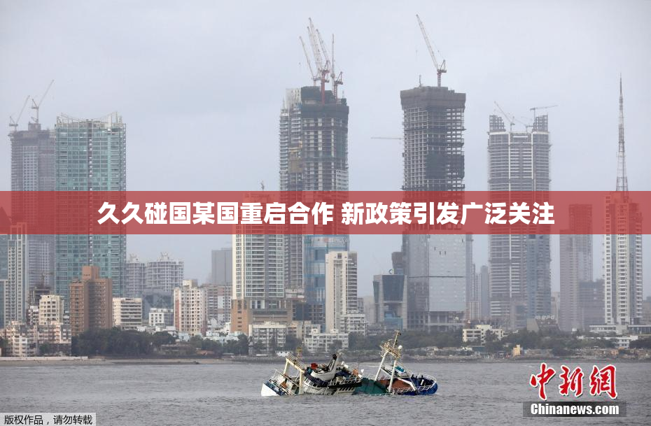 久久碰国某国重启合作 新政策引发广泛关注
