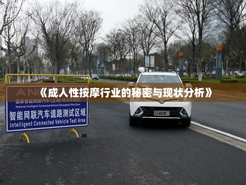 《成人性按摩行业的秘密与现状分析》
