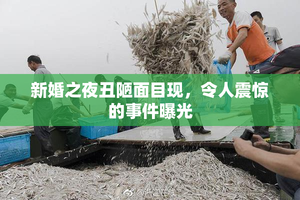 新婚之夜丑陋面目现，令人震惊的事件曝光