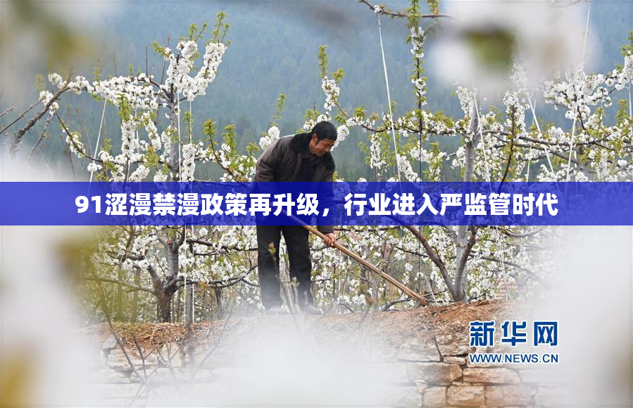 91涩漫禁漫政策再升级，行业进入严监管时代