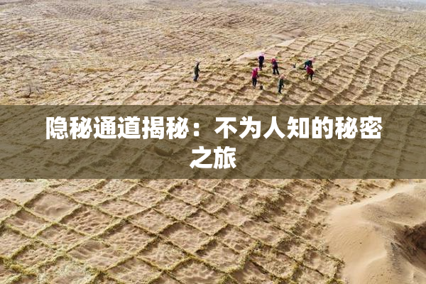 隐秘通道揭秘：不为人知的秘密之旅