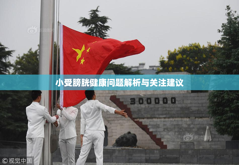 小受膀胱健康问题解析与关注建议