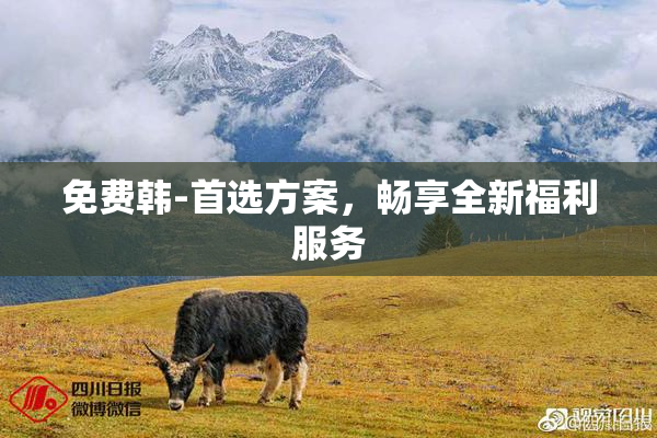 免费韩-首选方案，畅享全新福利服务