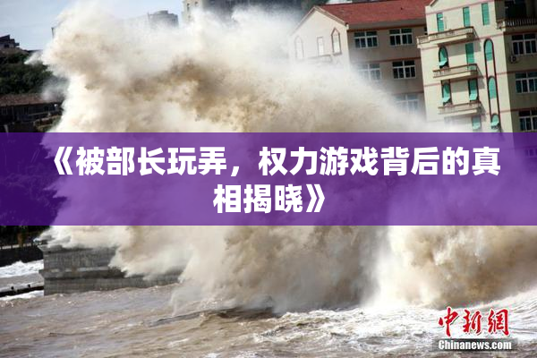 《被部长玩弄，权力游戏背后的真相揭晓》
