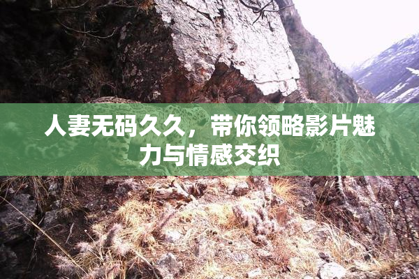 人妻无码久久，带你领略影片魅力与情感交织