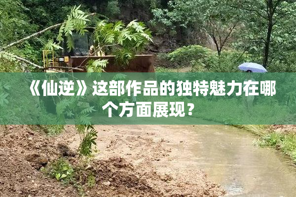 《仙逆》这部作品的独特魅力在哪个方面展现？