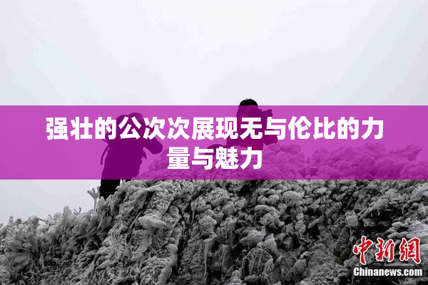 强壮的公次次展现无与伦比的力量与魅力