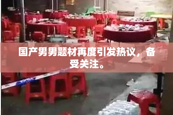 国产男男题材再度引发热议，备受关注。