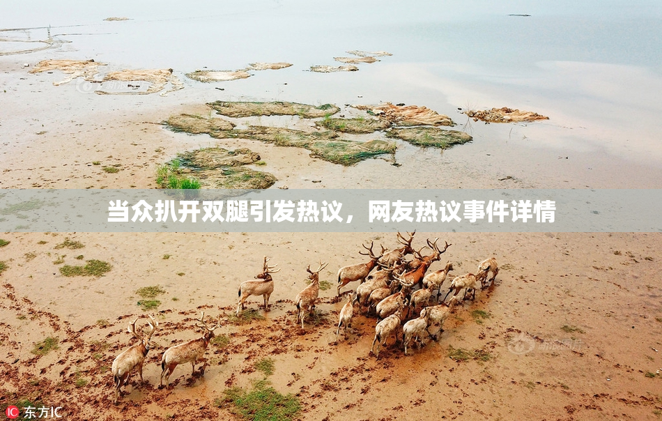 当众扒开双腿引发热议，网友热议事件详情
