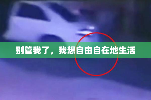 别管我了，我想自由自在地生活