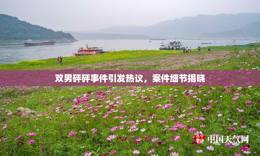 双男砰砰事件引发热议，案件细节揭晓