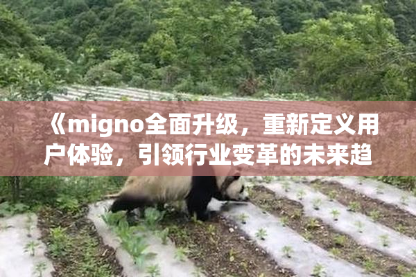 《migno全面升级，重新定义用户体验，引领行业变革的未来趋势》