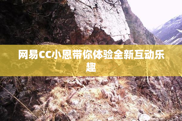 网易CC小恩带你体验全新互动乐趣
