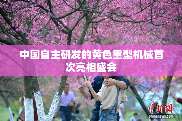 中国自主研发的黄色重型机械首次亮相盛会