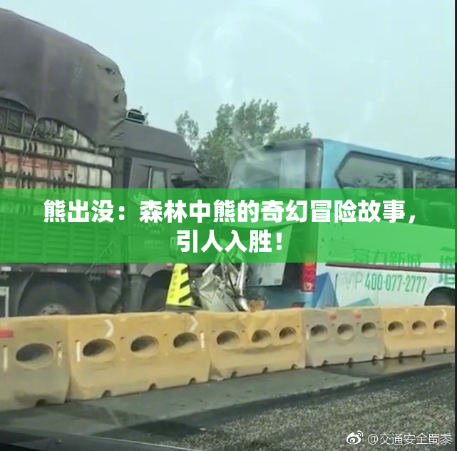 熊出没：森林中熊的奇幻冒险故事，引人入胜！