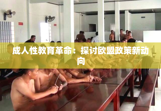 成人性教育革命：探讨欧盟政策新动向