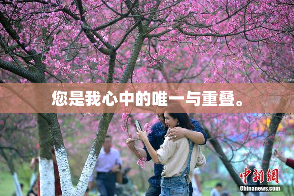 您是我心中的唯一与重叠。