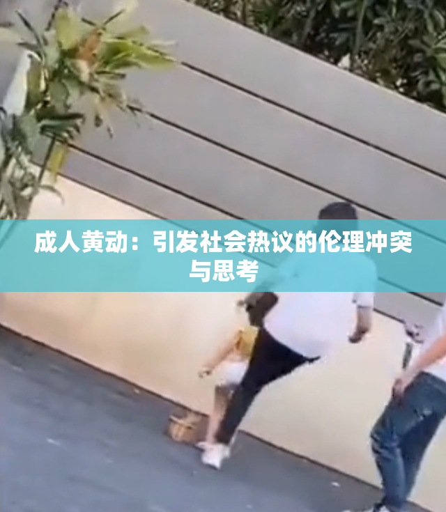 成人黄动：引发社会热议的伦理冲突与思考