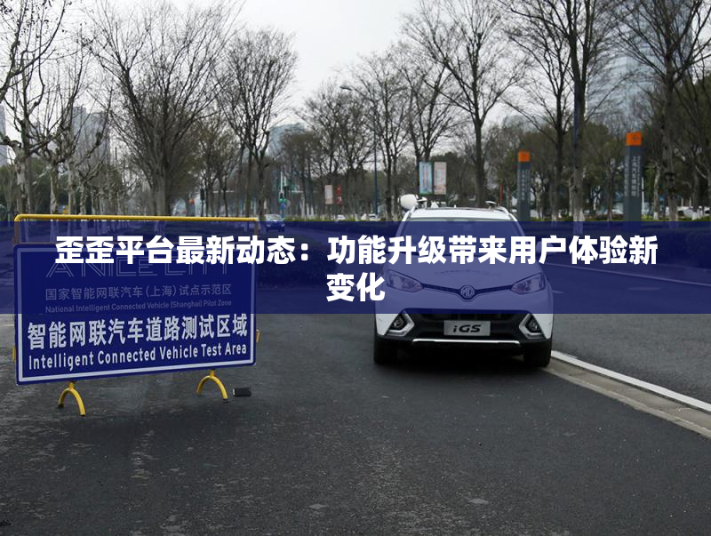 歪歪平台最新动态：功能升级带来用户体验新变化