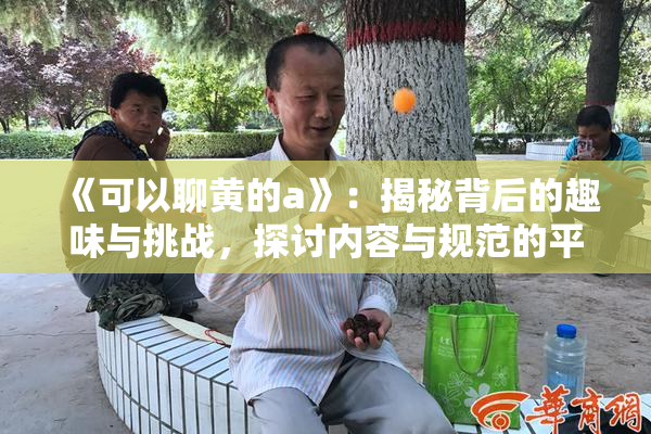 《可以聊黄的a》：揭秘背后的趣味与挑战，探讨内容与规范的平衡