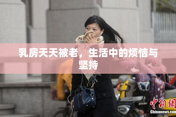乳房天天被老，生活中的烦恼与坚持