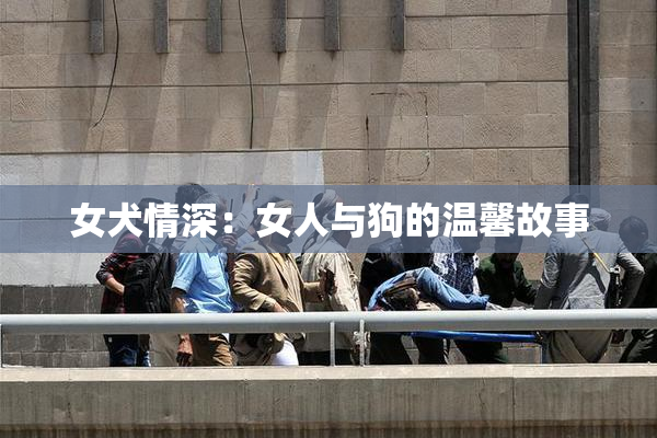 女犬情深：女人与狗的温馨故事