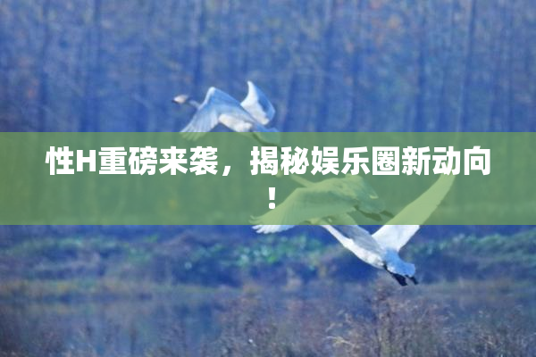 性H重磅来袭，揭秘娱乐圈新动向！