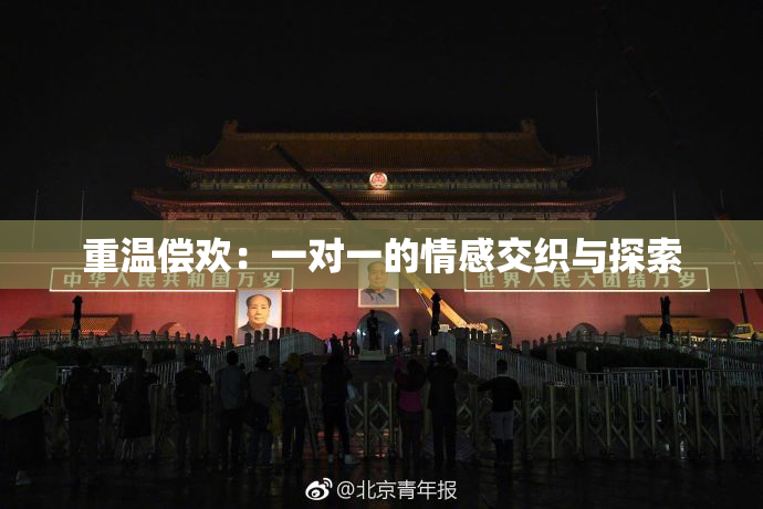 重温偿欢：一对一的情感交织与探索