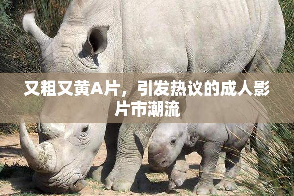 又粗又黄A片，引发热议的成人影片市潮流