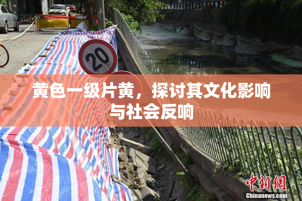 黄色一级片黄，探讨其文化影响与社会反响