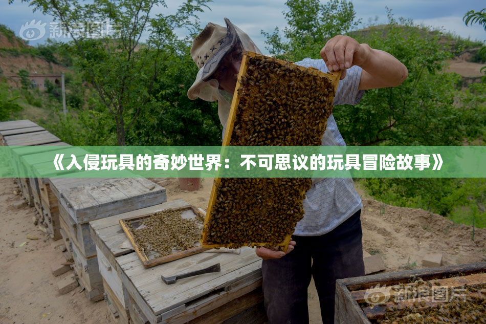 《入侵玩具的奇妙世界：不可思议的玩具冒险故事》