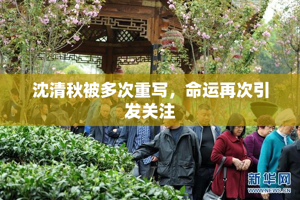 沈清秋被多次重写，命运再次引发关注