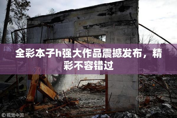 全彩本子h强大作品震撼发布，精彩不容错过