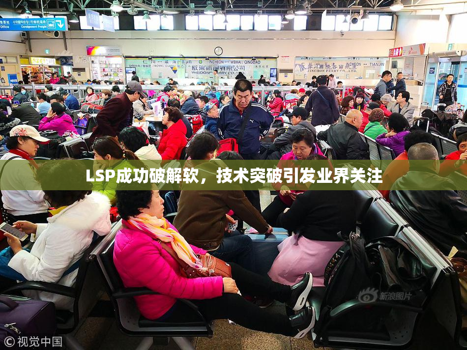 LSP成功破解软，技术突破引发业界关注