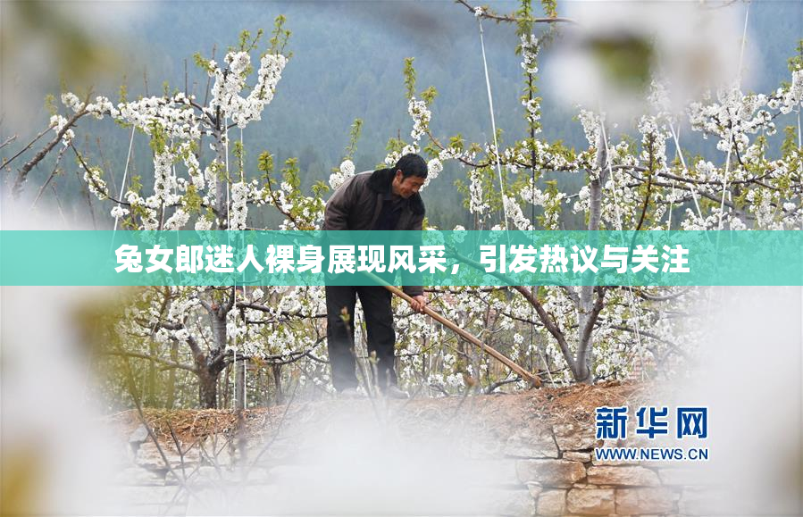 兔女郎迷人裸身展现风采，引发热议与关注