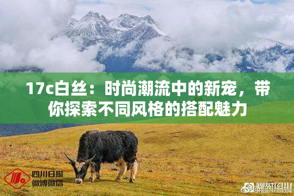 17c白丝：时尚潮流中的新宠，带你探索不同风格的搭配魅力