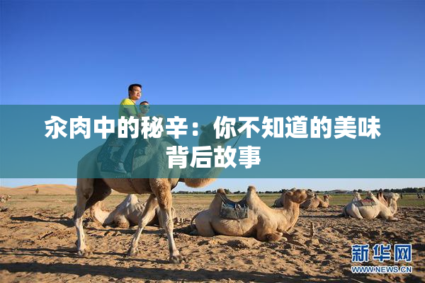 汆肉中的秘辛：你不知道的美味背后故事