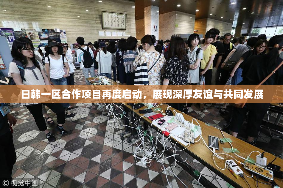 日韩一区合作项目再度启动，展现深厚友谊与共同发展