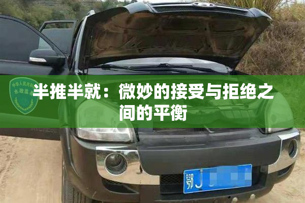 半推半就：微妙的接受与拒绝之间的平衡