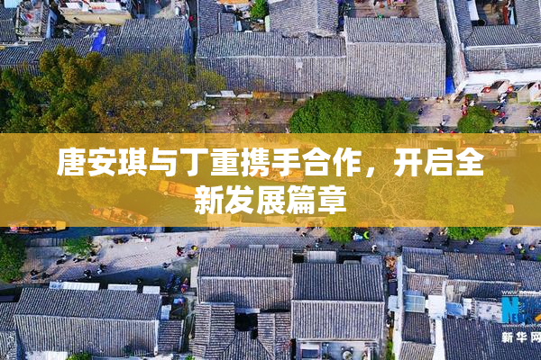 唐安琪与丁重携手合作，开启全新发展篇章