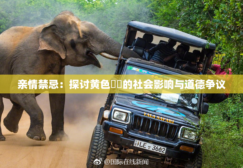 亲情禁忌：探讨黄色亂倫的社会影响与道德争议