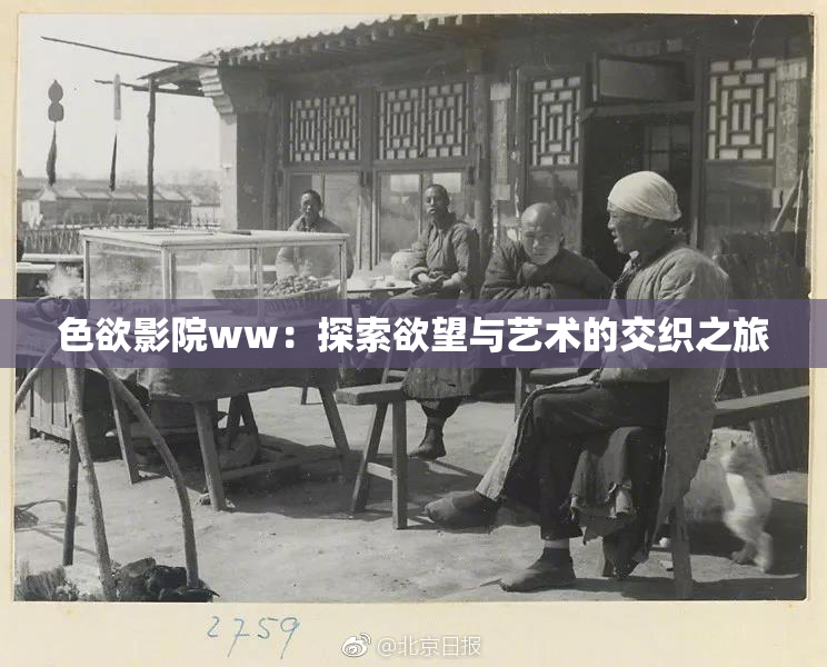 色欲影院ww：探索欲望与艺术的交织之旅