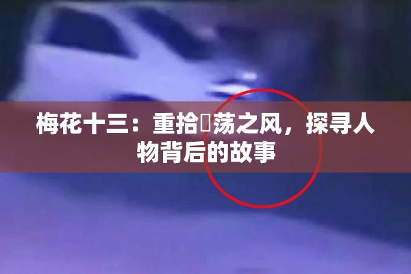 梅花十三：重拾婬荡之风，探寻人物背后的故事