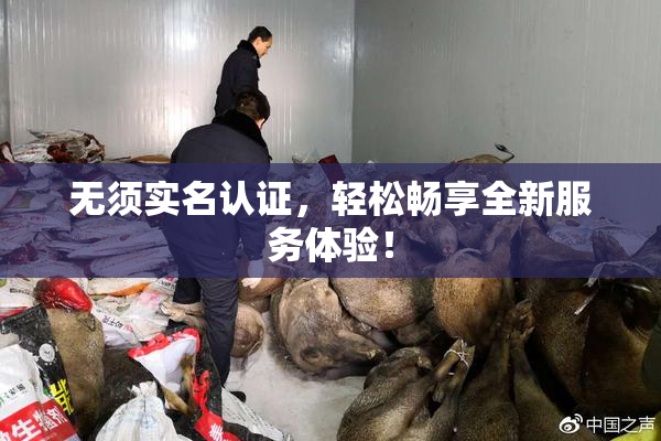 无须实名认证，轻松畅享全新服务体验！