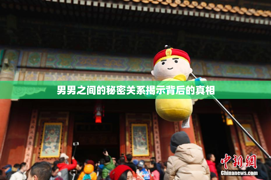 男男之间的秘密关系揭示背后的真相