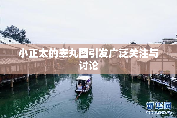 小正太的睾丸图引发广泛关注与讨论